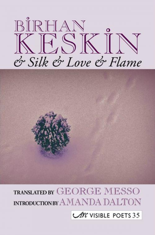 Cover of the book And Silk and Love and Flame by Birhan Keskin, Arc Publications