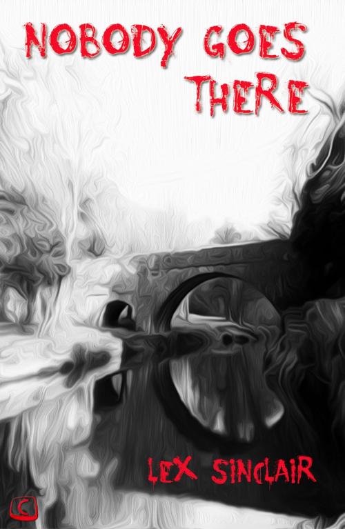 Cover of the book Nobody Goes There by Lex Sinclair, Create Digital Publishing