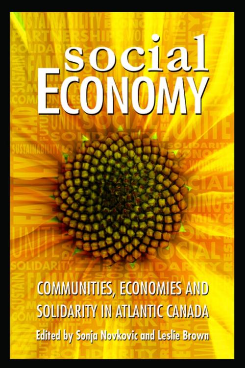 Cover of the book Social Economy by , Cape Breton University Press