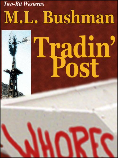 Cover of the book Tradin' Post by M.L. Bushman, Jigsaw Press