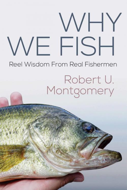 Cover of the book Why We Fish by Robert Montgomery, NorLights Press