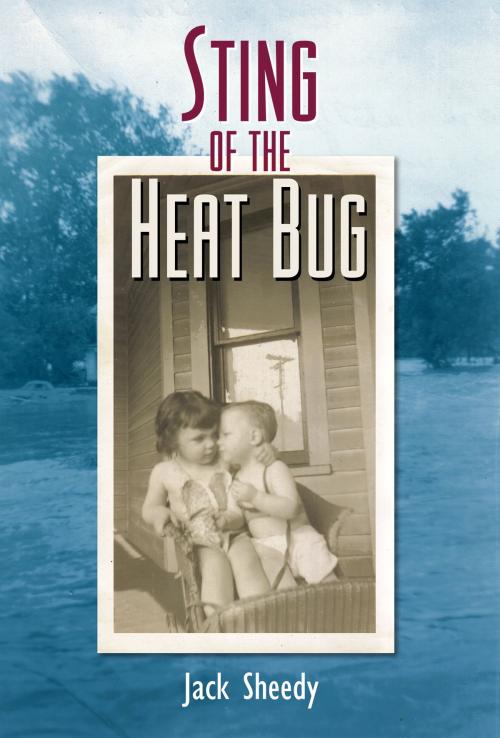 Cover of the book Sting of the Heat Bug by Jack Sheedy, Signalman Publishing