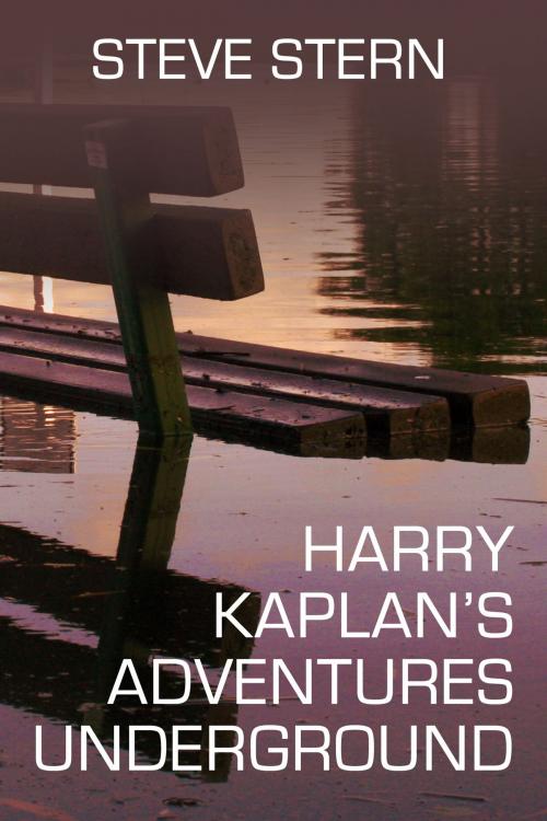 Cover of the book Harry Kaplan's Adventures Underground by Steve Stern, Dzanc Books
