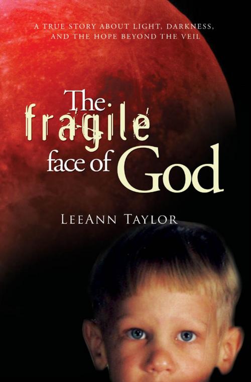 Cover of the book The Fragile Face of God by LeeAnn Taylor, Dunham Books