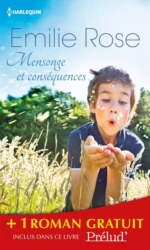 Cover of the book Mensonge et conséquences - Le pavillon d'été by Emilie Rose, Kathleen O'Brien, Harlequin