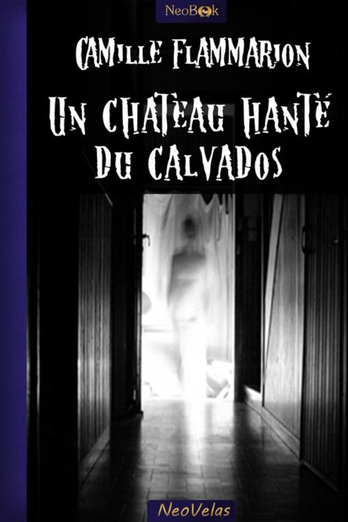 Cover of the book Un château hanté du Calvados by Camille Flammarion, NeoBook