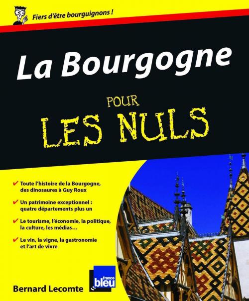 Cover of the book La Bourgogne Pour les Nuls by Bernard LECOMTE, edi8