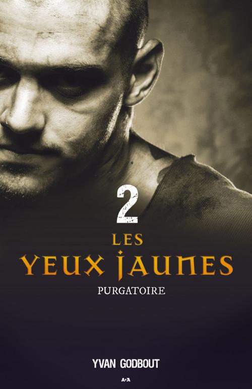 Cover of the book Les yeux jaunes by Yvan Godbout, Éditions AdA