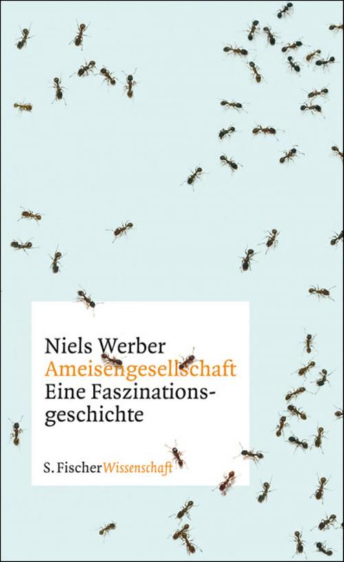 Cover of the book Ameisengesellschaften by Niels Werber, FISCHER E-Books