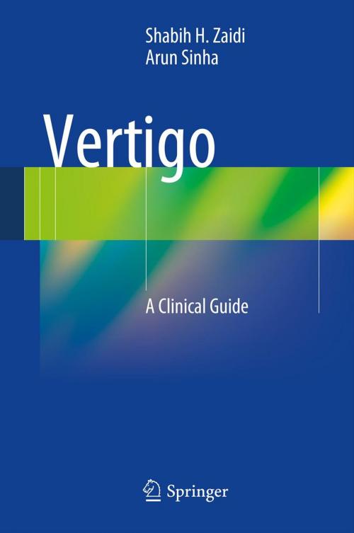 Cover of the book Vertigo by Shabih H. Zaidi, Arun Sinha, Springer Berlin Heidelberg