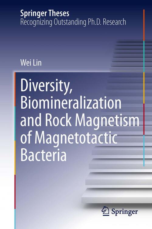 Cover of the book Diversity, Biomineralization and Rock Magnetism of Magnetotactic Bacteria by Wei Lin, Springer Berlin Heidelberg