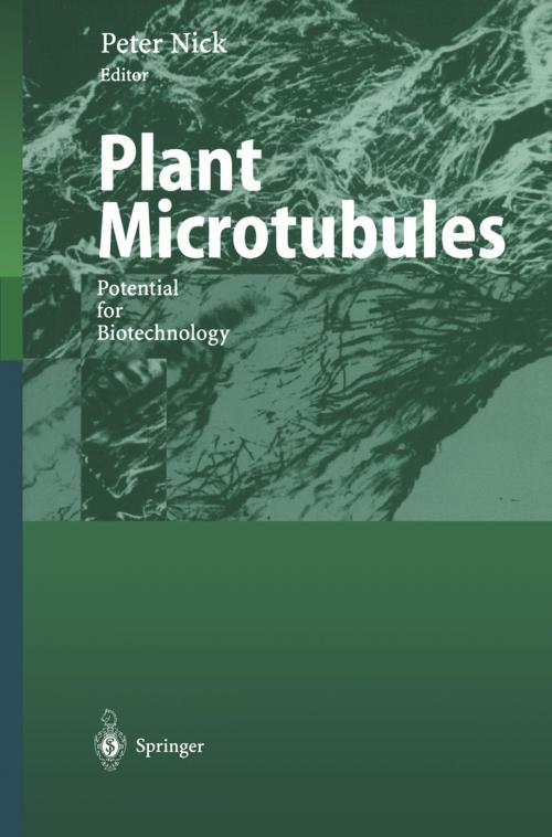 Cover of the book Plant Microtubules by , Springer Berlin Heidelberg