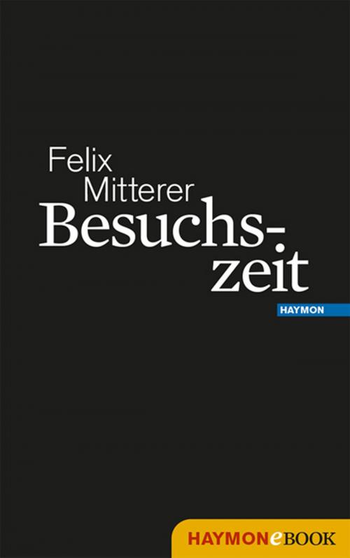 Cover of the book Besuchszeit by Felix Mitterer, Haymon Verlag
