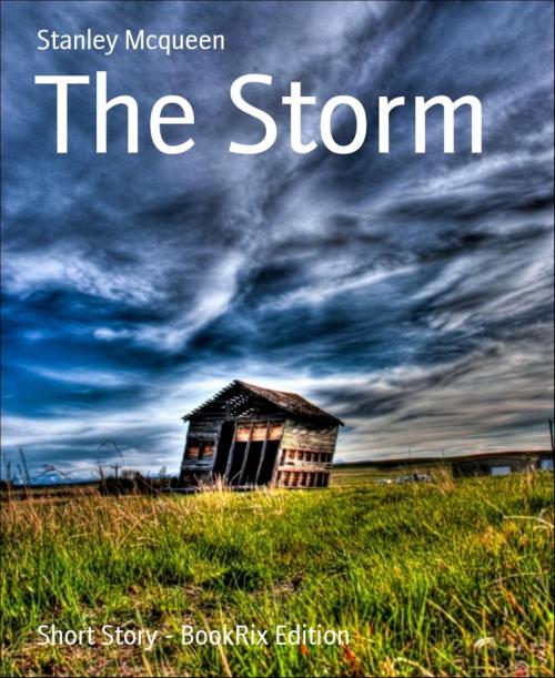 Cover of the book The Storm by Stanley Mcqueen, BookRix