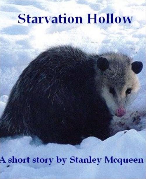 Cover of the book Starvation Hollow by Stanley Mcqueen, BookRix