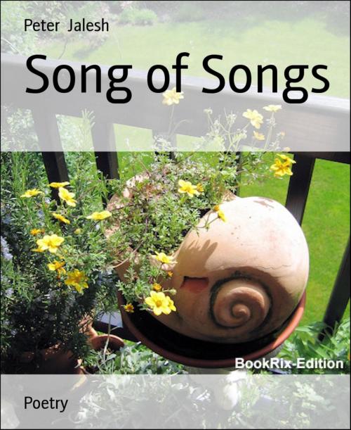 Cover of the book Song of Songs by Peter Jalesh, BookRix