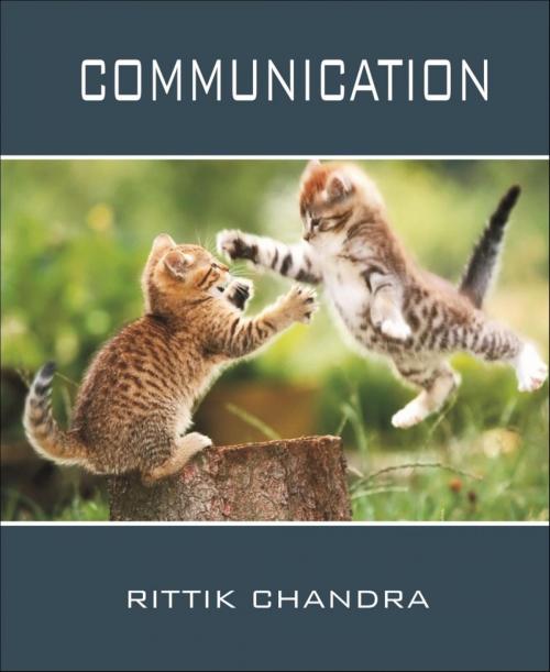 Cover of the book Communication by Rittik Chandra, BookRix