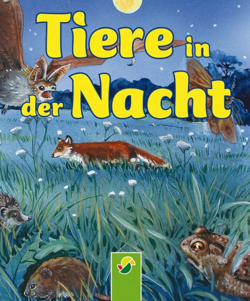 Cover of the book Tiere in der Nacht by Bärbel Oftring, Schwager & Steinlein Verlag