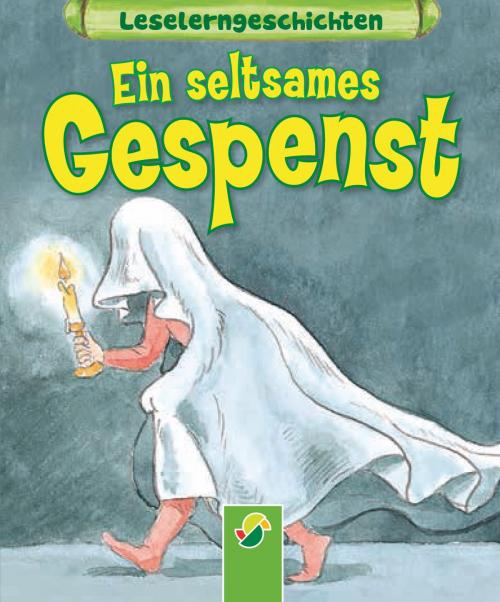 Cover of the book Ein seltsames Gespenst by Carola von Kessel, Schwager & Steinlein Verlag