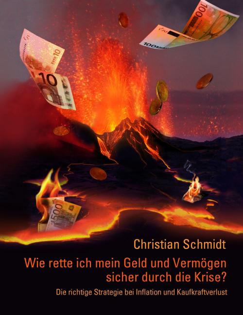 Cover of the book Wie rette ich mein Geld und Vermögen sicher durch die Krise? by Christian Schmidt, Books on Demand