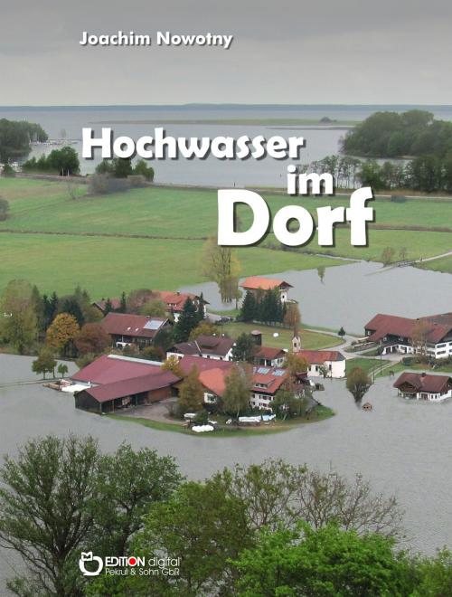 Cover of the book Hochwasser im Dorf by Joachim Nowotny, EDITION digital
