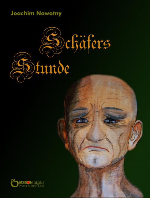 Cover of the book Schäfers Stunde by Joachim Nowotny, EDITION digital