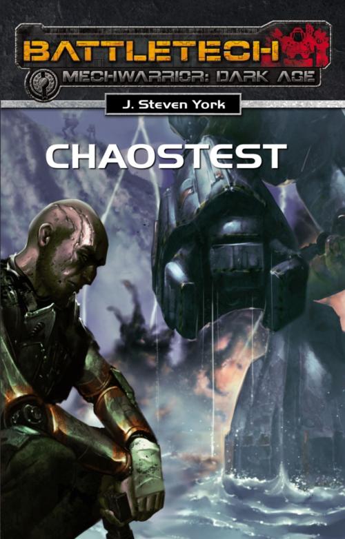 Cover of the book BattleTech - MechWarrior: Dark Age 20 by J. Steven York, Ulisses Spiele