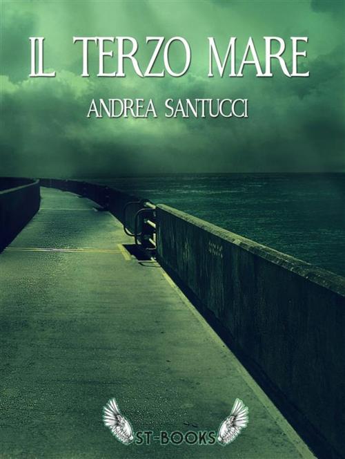 Cover of the book Il terzo mare by Andrea Santucci, ST-Books