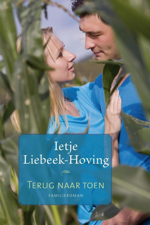 Cover of the book Terug naar toen by Ietje Liebeek-Hoving, VBK Media