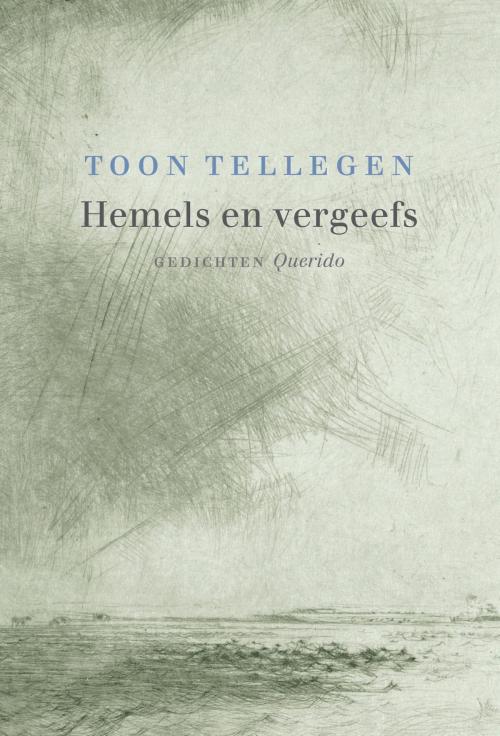 Cover of the book Hemels en vergeefs by Toon Tellegen, Singel Uitgeverijen