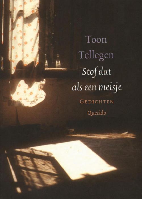 Cover of the book Stof dat als een meisje by Toon Tellegen, Singel Uitgeverijen
