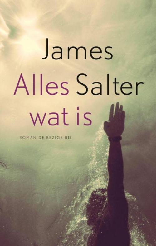 Cover of the book Alles wat is by James Salter, Bezige Bij b.v., Uitgeverij De