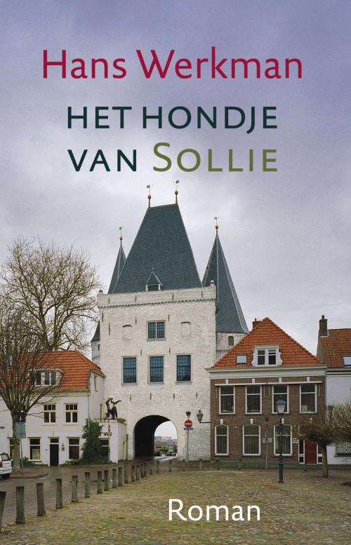 Cover of the book Het hondje van Sollie by Hans Werkman, VBK Media