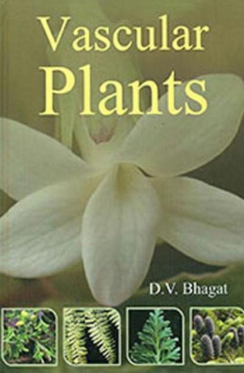 Cover of the book Vascular Plants by D. V. Bhagat, Anmol Publications PVT. LTD.