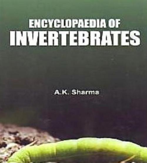Cover of the book Encyclopaedia Of Invertebrates by A. K. Sharma, Centrum Press