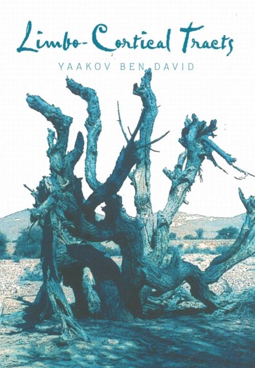 Cover of the book Limbo-Cortical Tracts by Yaakov Ben-David, Gefen Publishing House