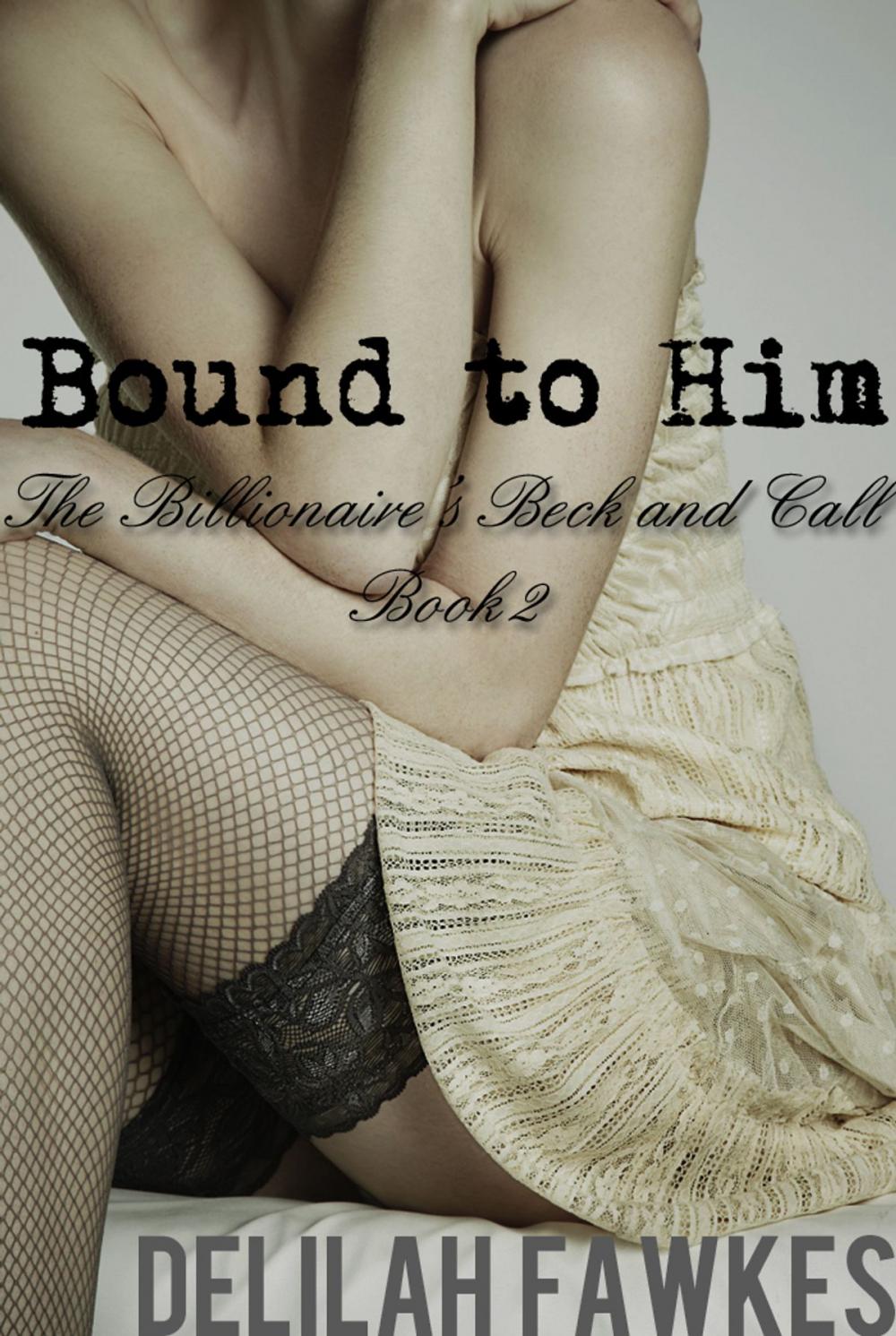 Big bigCover of Bound to Him: The Billionaire's Beck and Call Series (The Billionaire's Beck and Call, Book 2)