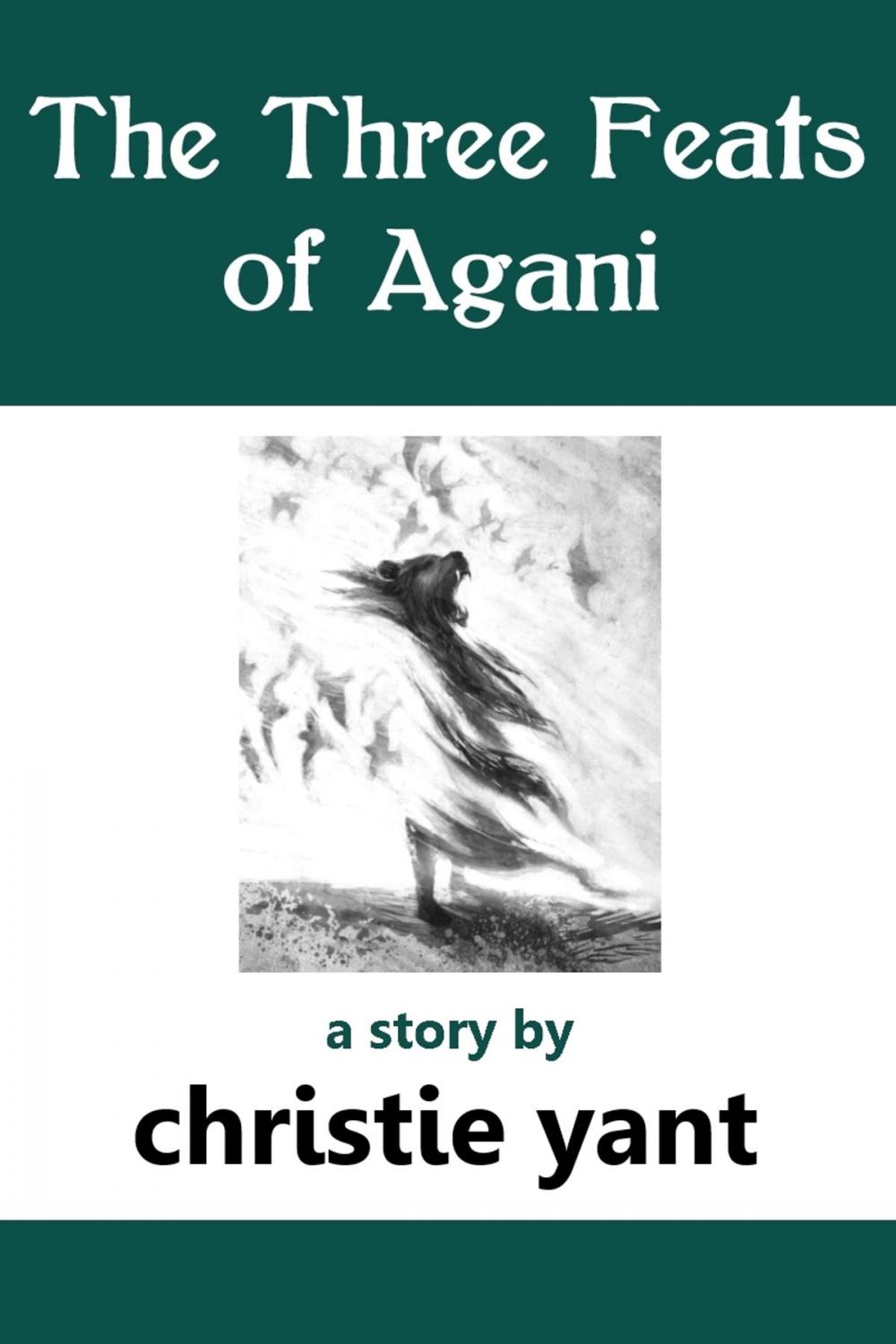 Big bigCover of The Three Feats of Agani