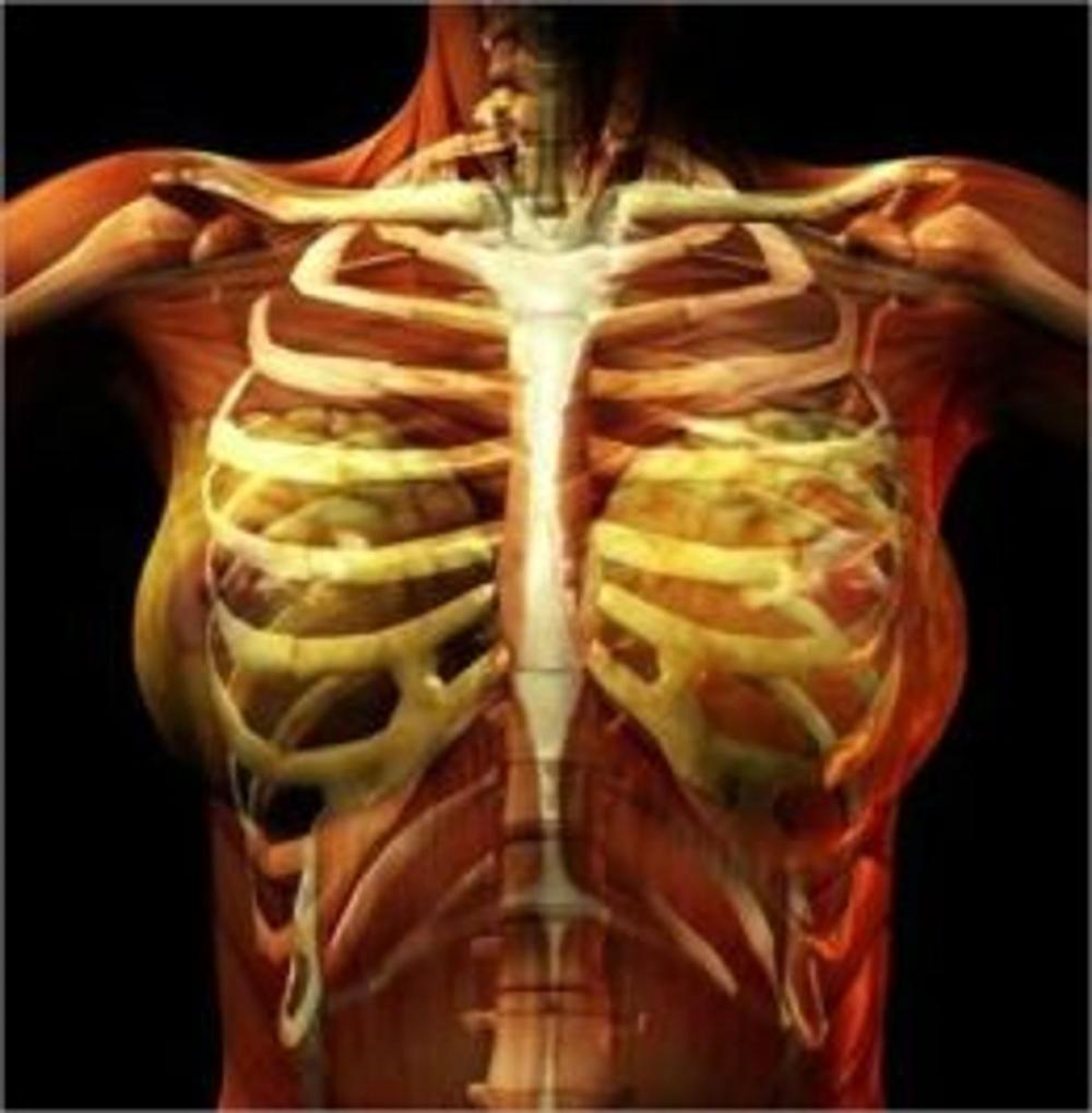 Big bigCover of Costochondritis: Causes, Symptoms and Treatments