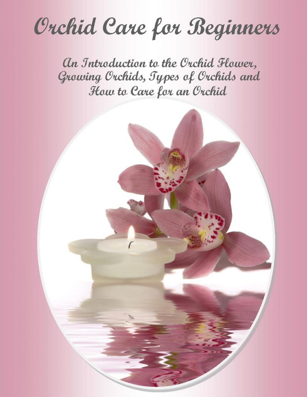 Big bigCover of Orchid Care for Beginners An Introduction to the Orchid Flower, Growing Orchids, Types of Orchids and How to Care for an Orchid