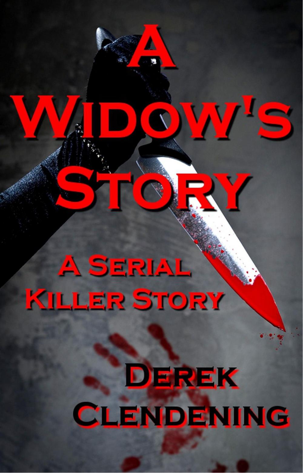 Big bigCover of A Widow's Story