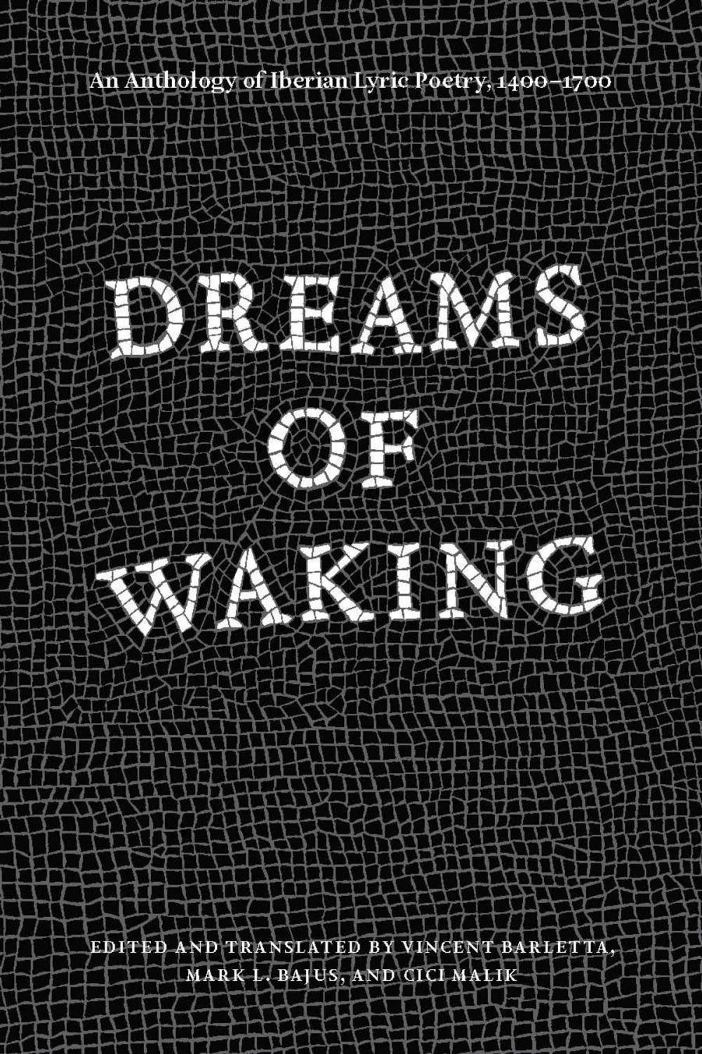 Big bigCover of Dreams of Waking