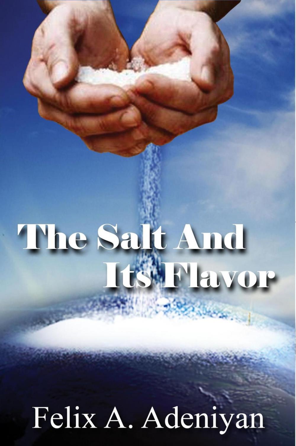 Big bigCover of The Salt And Its Flavor