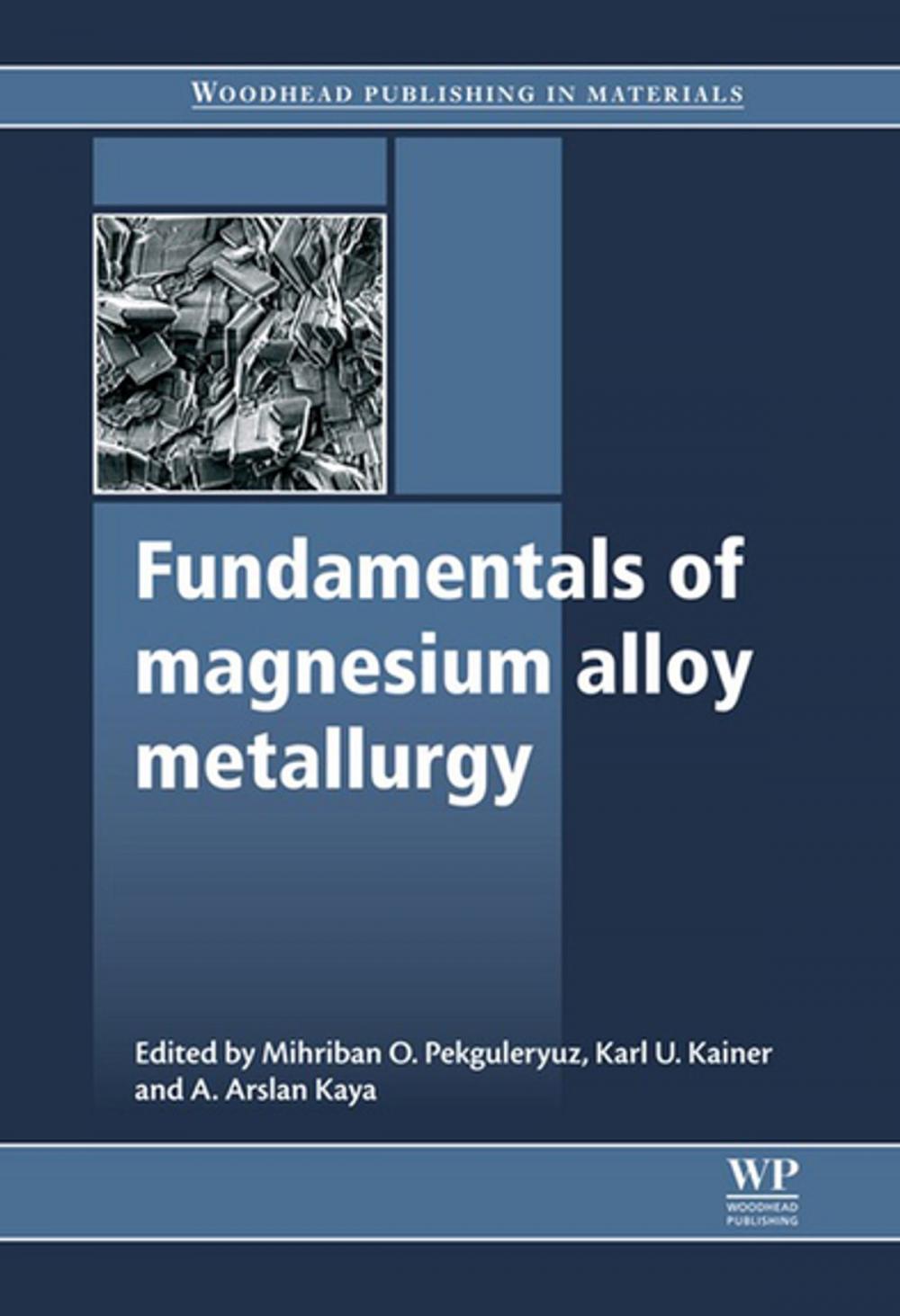 Big bigCover of Fundamentals of Magnesium Alloy Metallurgy