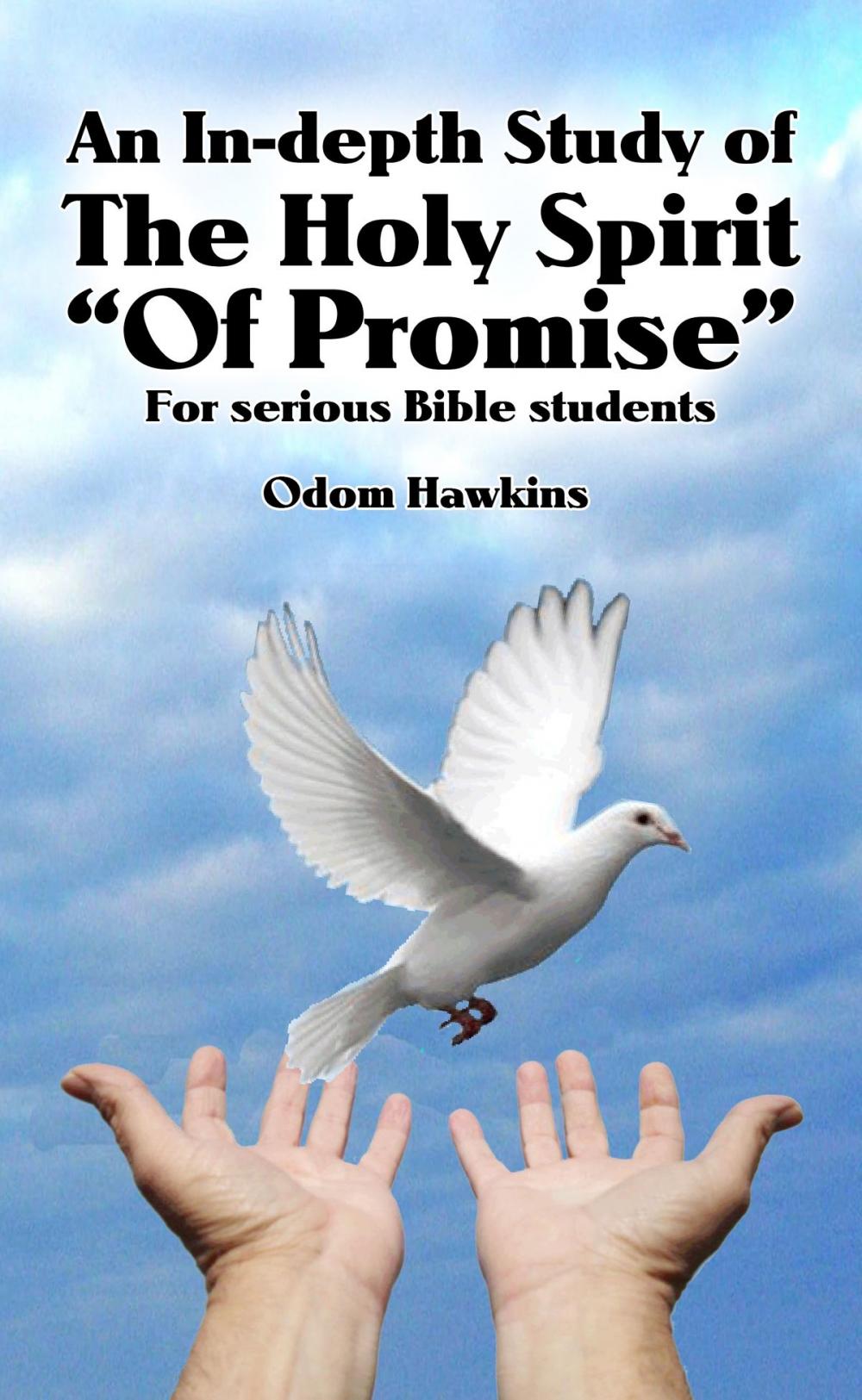 Big bigCover of An In-depth Study of The Holy Spirit of Promise