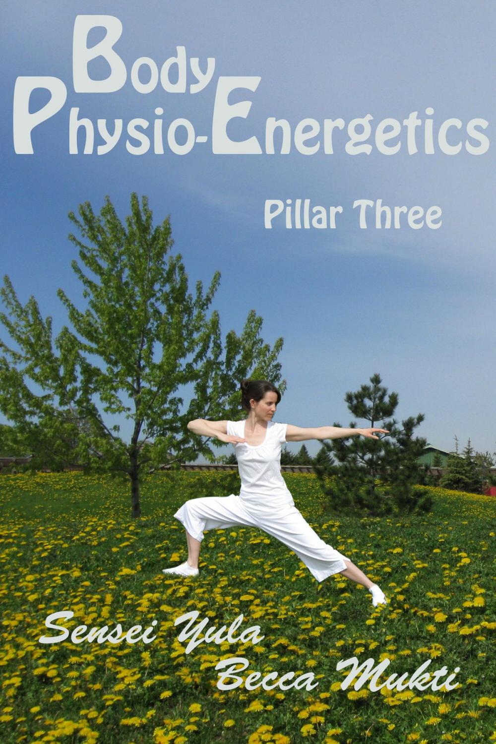 Big bigCover of Body Physio-Energetics: Pillar Three