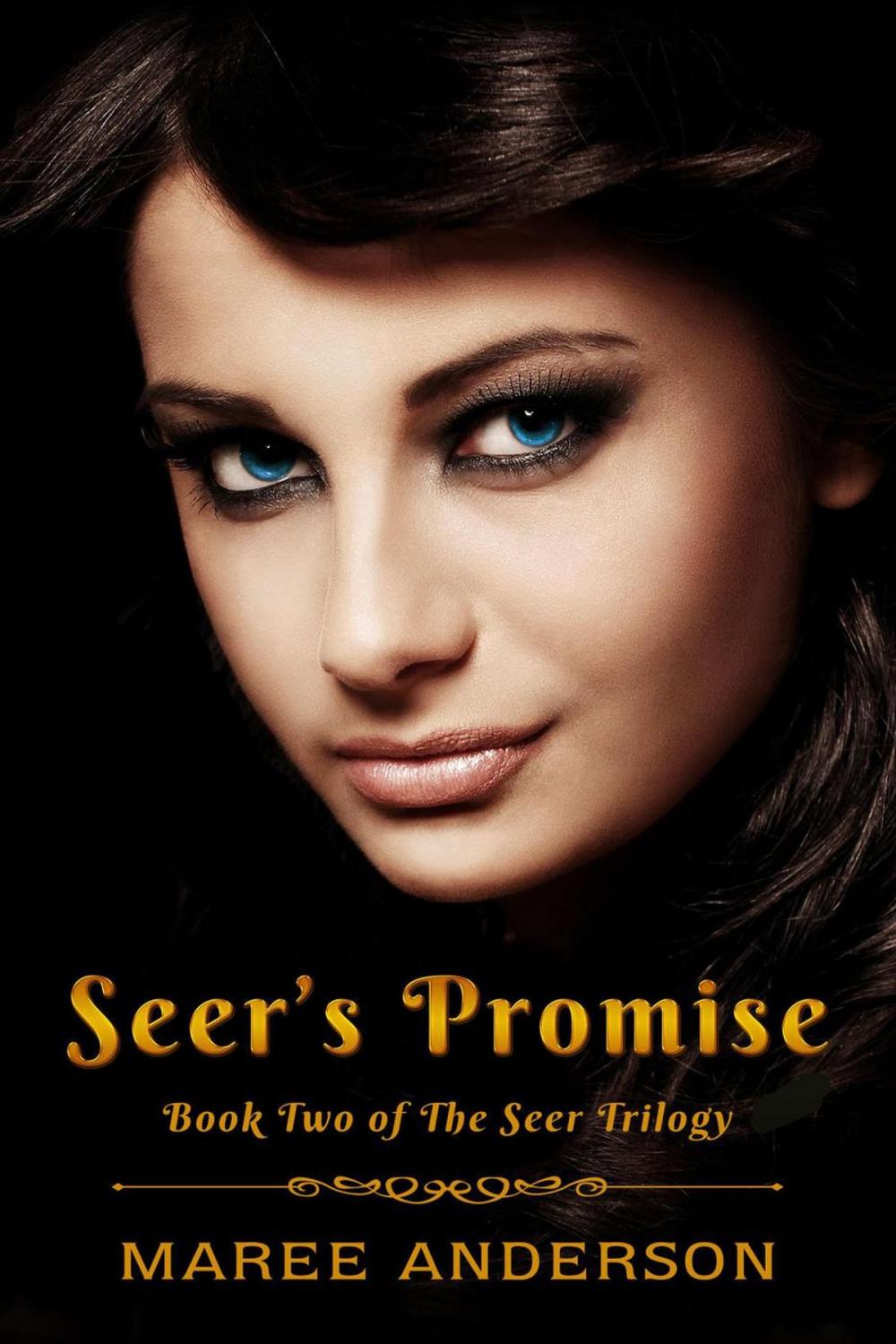 Big bigCover of Seer's Promise