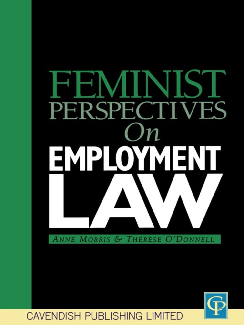 Big bigCover of Feminist Perspectives on Employment Law