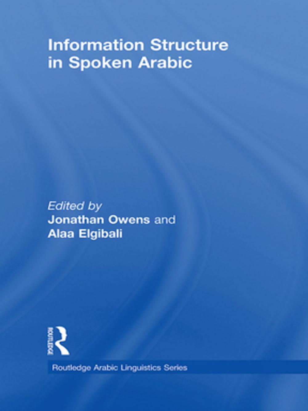 Big bigCover of Information Structure in Spoken Arabic