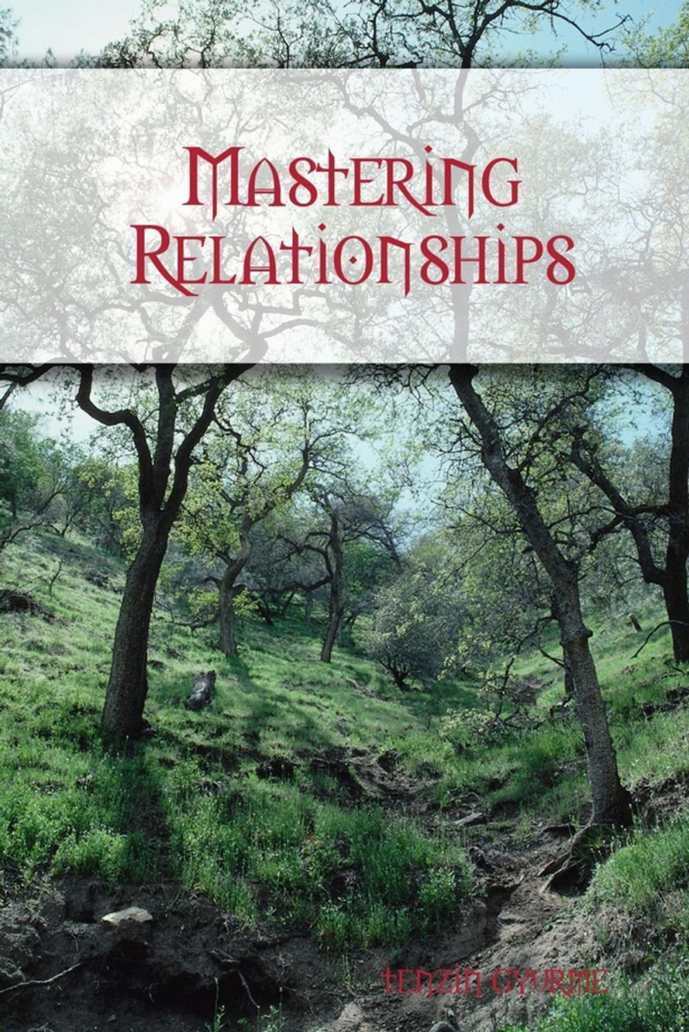 Big bigCover of Mastering Relationships